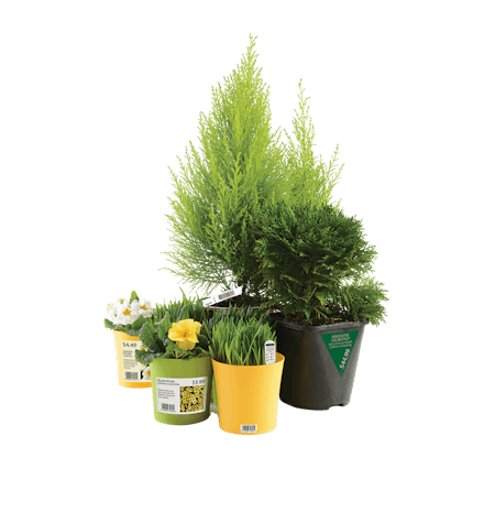 Hort Flowers All Labels sm 2